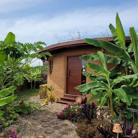 Pôrto de Pedras Eco Loft Maymuna: Seu Loft Ecologico Pertinho Da Praia 빌라 외부 사진