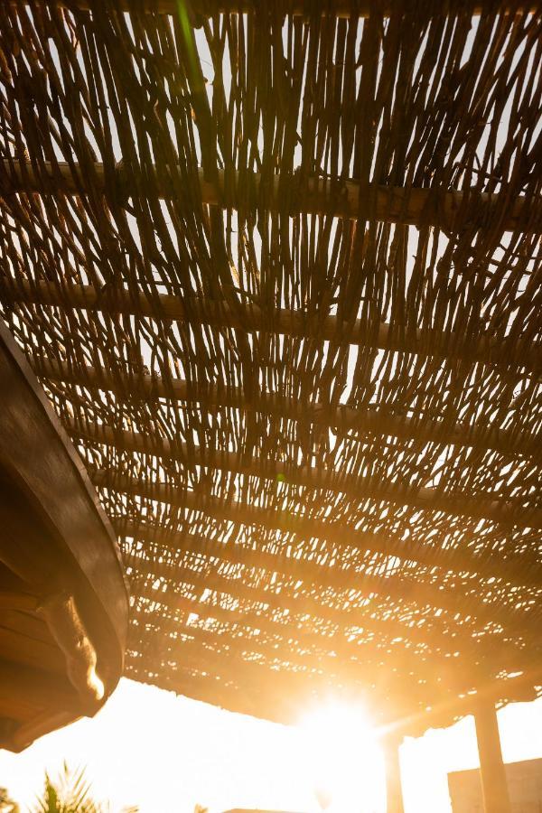 Pôrto de Pedras Eco Loft Maymuna: Seu Loft Ecologico Pertinho Da Praia 빌라 외부 사진