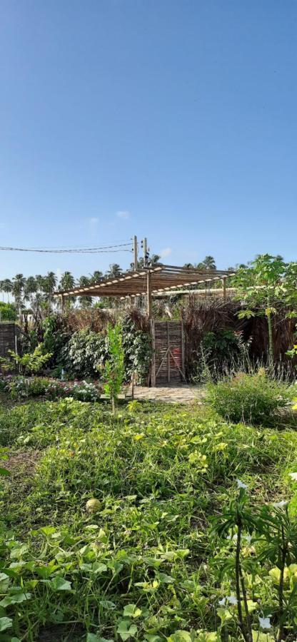Pôrto de Pedras Eco Loft Maymuna: Seu Loft Ecologico Pertinho Da Praia 빌라 외부 사진